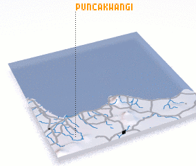 3d view of Puncakwangi