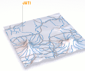 3d view of Jati