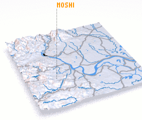 3d view of Moshi