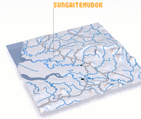 3d view of Sungai Temudok