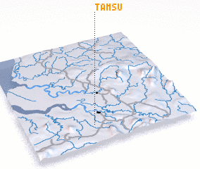 3d view of Tamsu