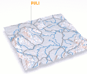 3d view of Puli