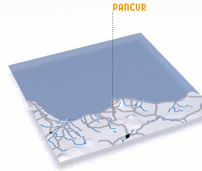 3d view of Pancur