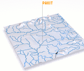 3d view of Pakit