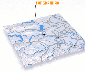 3d view of Tongbaimiao