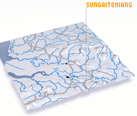 3d view of Sungai Temiang