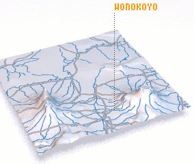 3d view of Wonokoyo