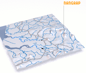 3d view of Nanga Ap