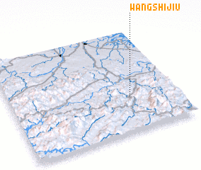 3d view of Wangshijiu