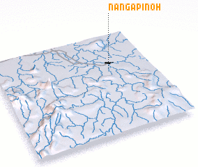 3d view of Nangapinoh