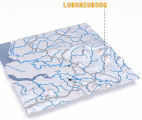 3d view of Luboh Subong