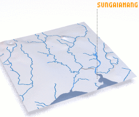 3d view of Sungaiamang