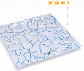 3d view of Sungai Ipuh