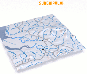 3d view of Sungai Puloh