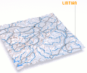 3d view of Lintian