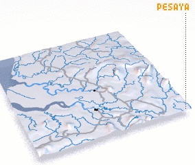 3d view of Pesaya