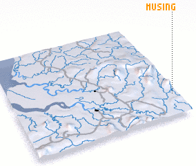 3d view of Musing