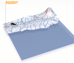 3d view of Ngunut