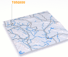 3d view of Tongkou