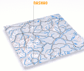 3d view of Nashao