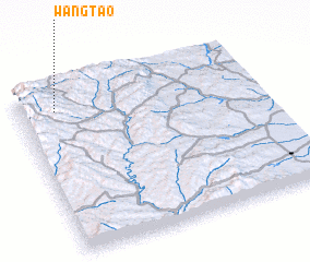3d view of Wangtao