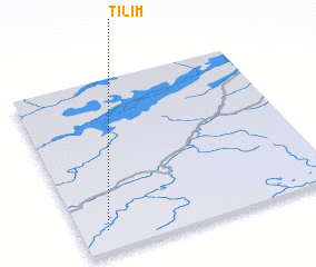 3d view of Tilim