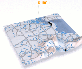 3d view of Puncu