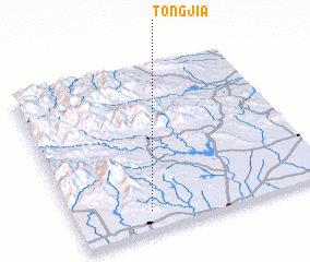 3d view of Tongjia