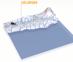 3d view of Selopuro