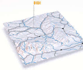 3d view of Bidi