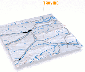 3d view of Taoying