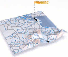 3d view of Pungging