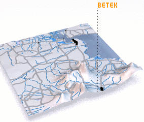 3d view of Betek