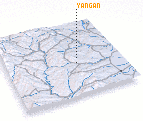 3d view of Yang\