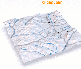 3d view of Shangwang