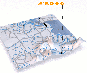 3d view of Sumberwaras