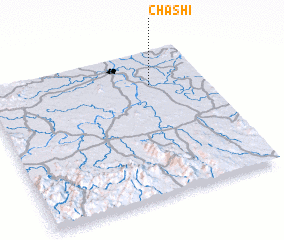 3d view of Chashi