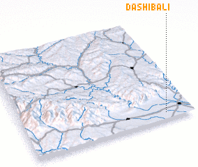 3d view of Dashibali