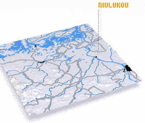 3d view of Niulukou