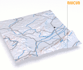 3d view of Niucun