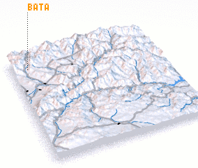 3d view of Bata