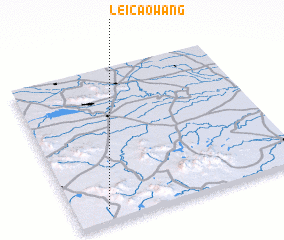 3d view of Leicaowang