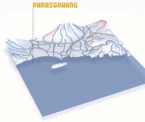 3d view of Parasgowang