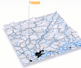 3d view of Timian