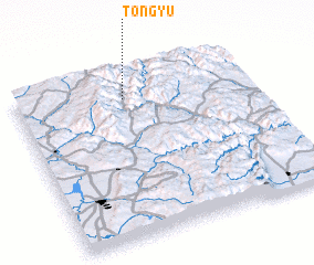 3d view of Tongyu