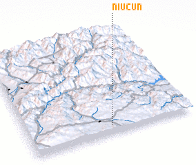 3d view of Niucun