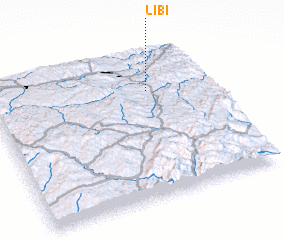 3d view of Libi