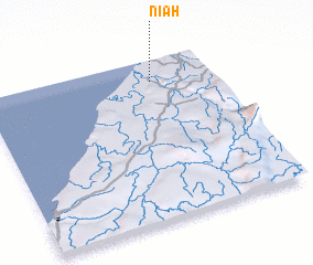 3d view of Niah