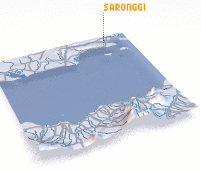 3d view of Saronggi