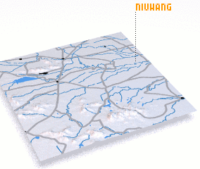 3d view of Niuwang